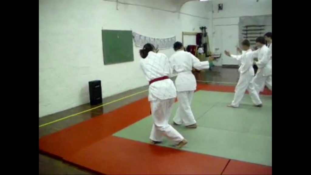 Übungsvideo  - JEONG MYEON GONG BANG SAM BON HYONG (정면공방삼본형)