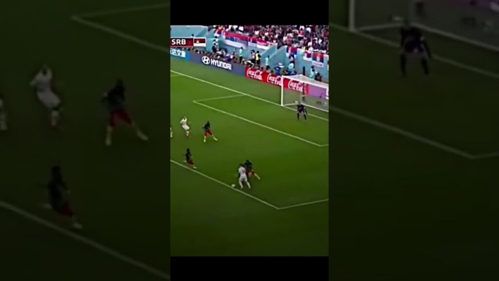 What a GOAL. This is Sergej Milinković-Savić 🇷🇸.