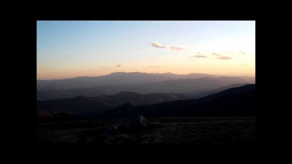 Roan Bald october 15 2011