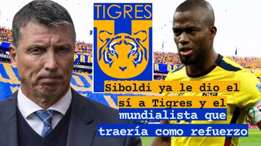 🔥Siboldi ya le dio el sí a Tigres y el mundialista que traería como refuerzo 😬
