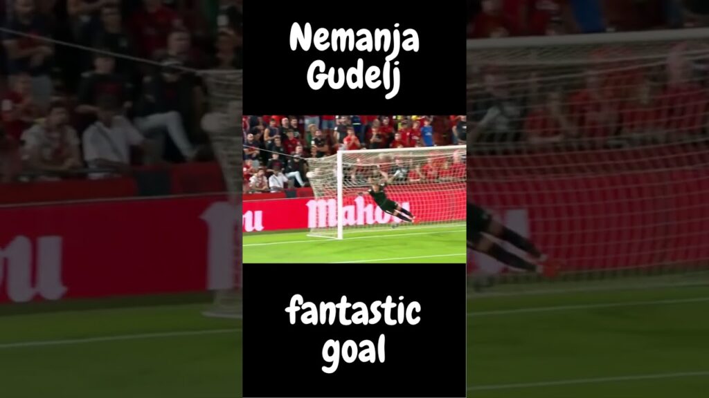 Nemanja Gudelj tremendous goal #shorts