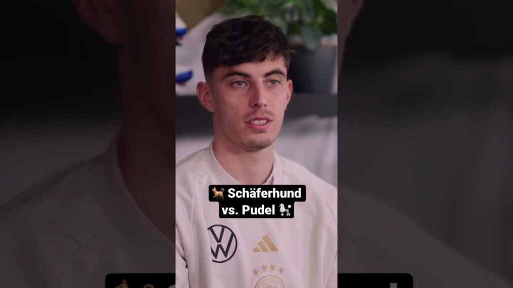Kai HAVERTZ Lachmomente! 😅🐕🐩