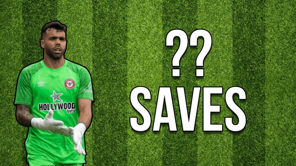 You Wont Believe These SAVES from David Raya...