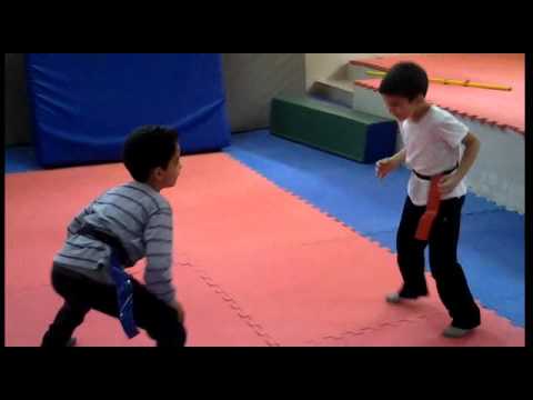 Boxe Chinoise enfants (5...10 ans)