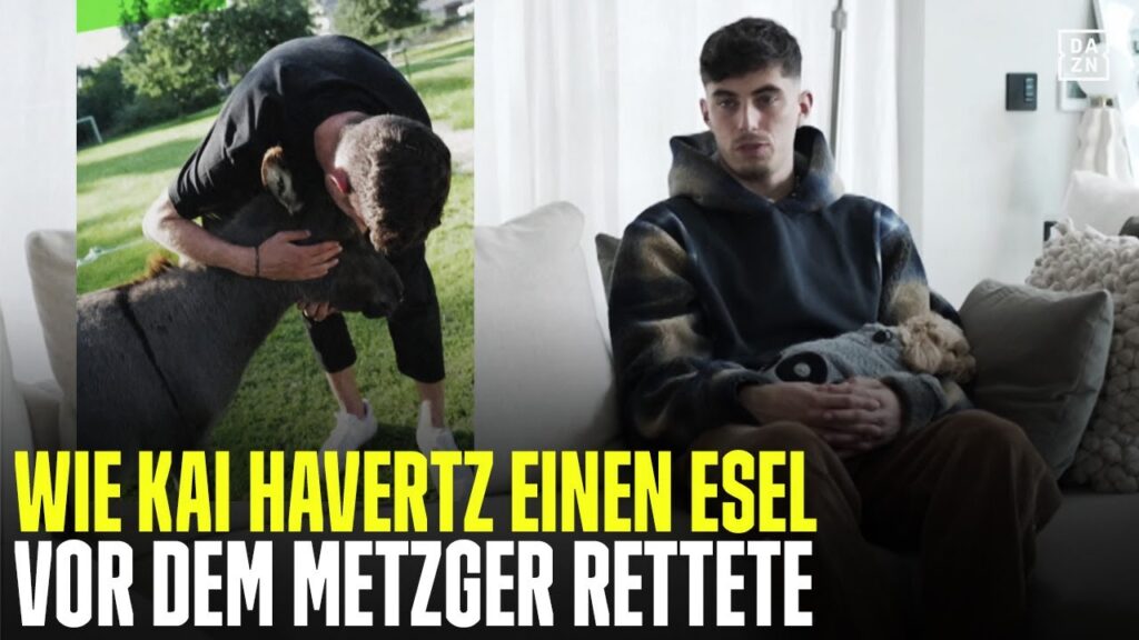 "Geil, mit 18 kann ich meinen ersten Esel retten!" Kai Havertz Unfiltered | DAZN