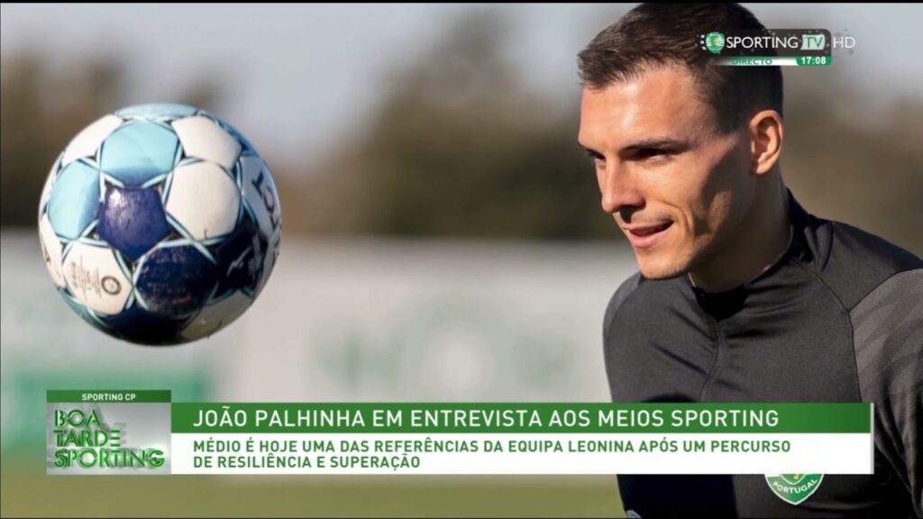 Declarações de JOÃO PALHINHA.