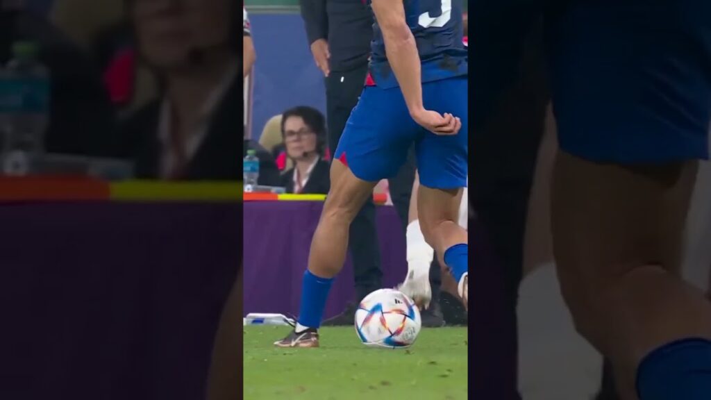 Iran USA - Ali Gholizade 🐐