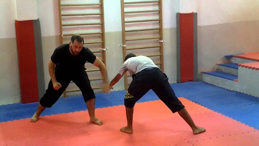 La Boxe Chinoise avec Maître Ben Saïd -03