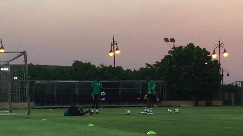 Galop des Lions : Alfred Gomis et Abdoulaye Diallo (gardiens) prêts à servir la nation