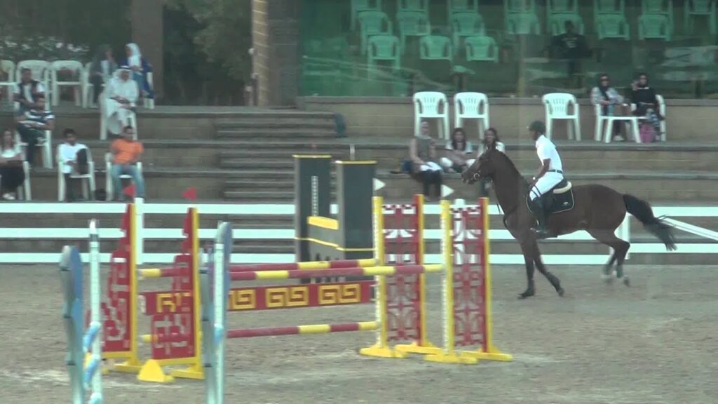 Mosaed Al Shuabi   Centaria