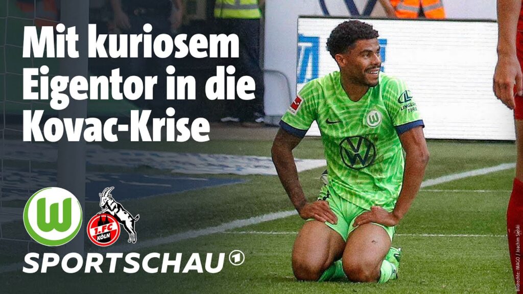 VfL Wolfsburg - 1. FC Köln Highlights Bundesliga, 5. Spieltag | Sportschau