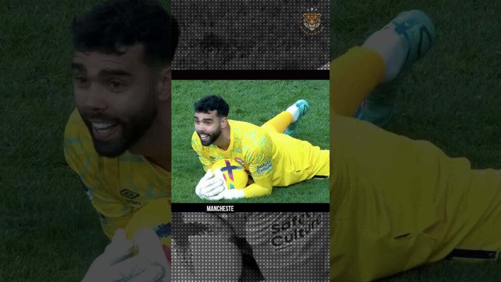 Manchester United Harus Bayar Mahal untuk Rekrut David Raya pengganti De Gea