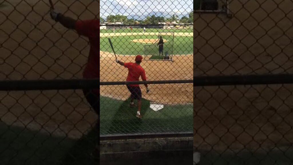 Anthony Hernandez- Batting Practice(02)
