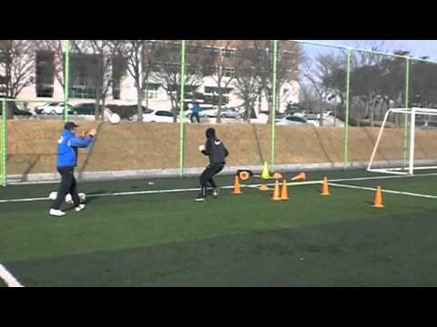 Carlão - Salto com Queda Alta E - GK Cho Hyun Woo