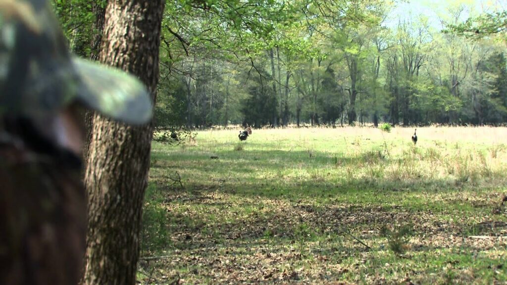 Turkey Hunt Mark Harris.m2t