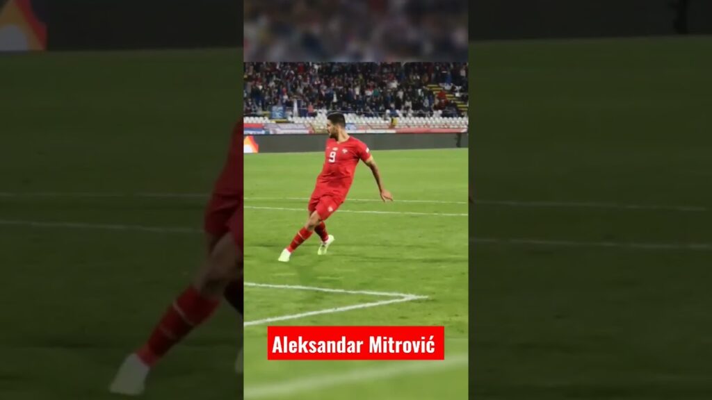 Srbija - Švedska Aleksandar Mitrović