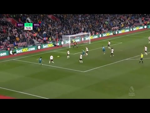 Wolves Fans Celebrate After Jan Bednarek Own Goal (Southampton Vs Wolves) 11th February, 2023 ⚽⚽