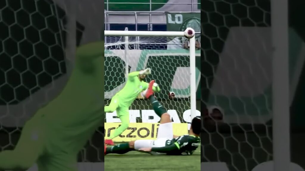 DEFESA INCRÍVEL DE WEVERTON!