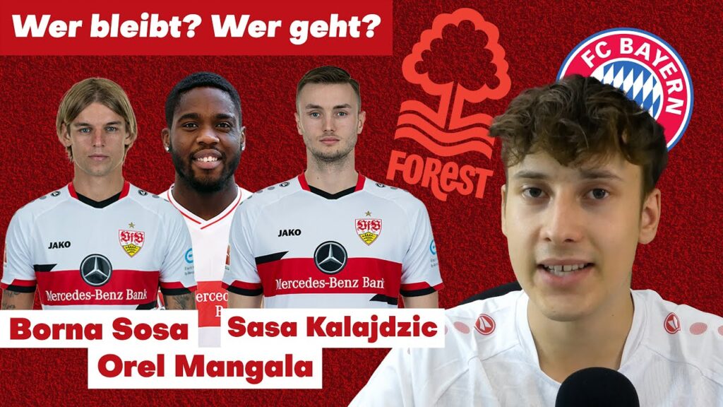 VfB Stuttgart: Sasa Kalajdzic, Borna Sosa & Orel Mangala | Transfer Update Realtalk