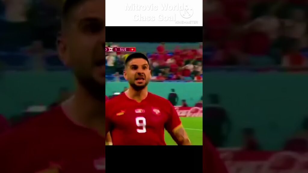 Aleksandar Mitrovic World Class Goal 2022 World Cup.#shorts #viral #football #youtube.