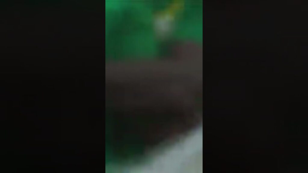 Antoine Semenyo his first scores for Ghana blackstar v Angola