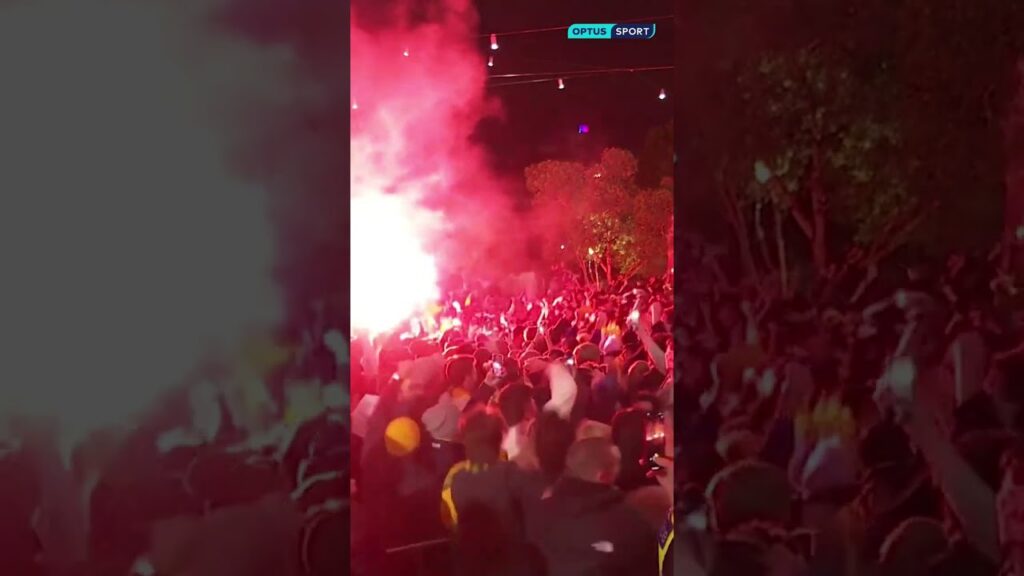 RAPTURES: fans react as Mat Leckie finishes a superb Socceroos goal