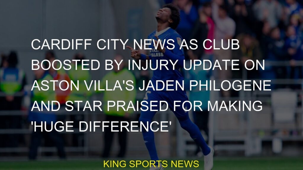 Cardiff City news and star praised for making 'big difference' as club bolstered by injury update on