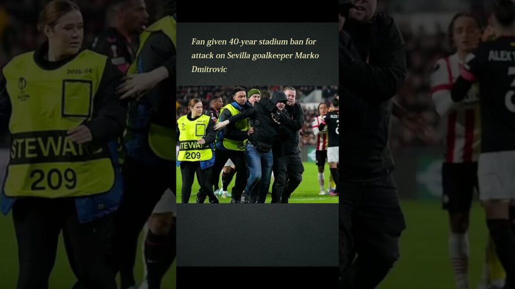 Fan given 40 year stadium ban😿😿😿 for attack on Sevilla goalkeepr Marko Dmitrovic #short #viralnews