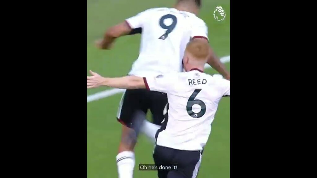 Aleksandar Mitrovic loves a big goal! @FulhamFC | #FIFAWorldCup