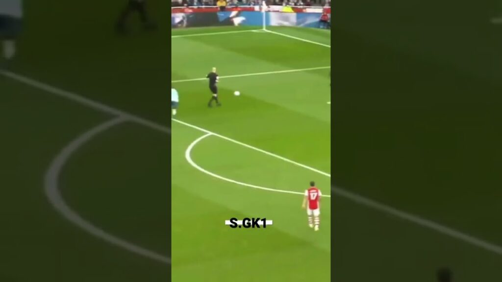 Kasper Schmeichel - So Wonderful Stop 🛑💯🔥