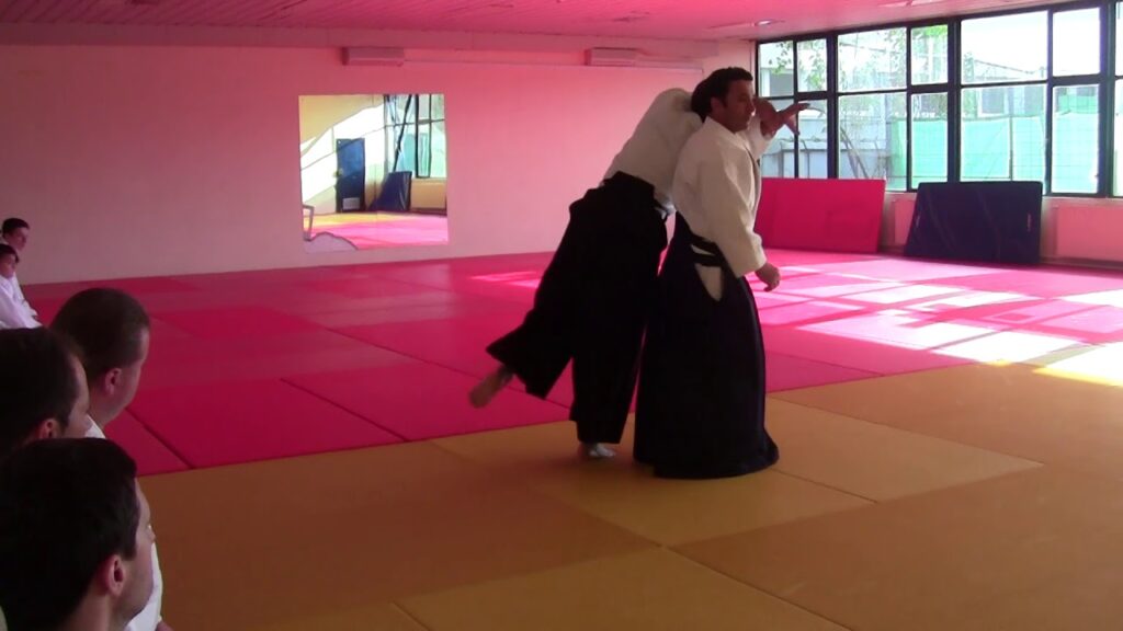 Aikido seminar Roberto Sánchez 6.Dan, Sarajevo 2019