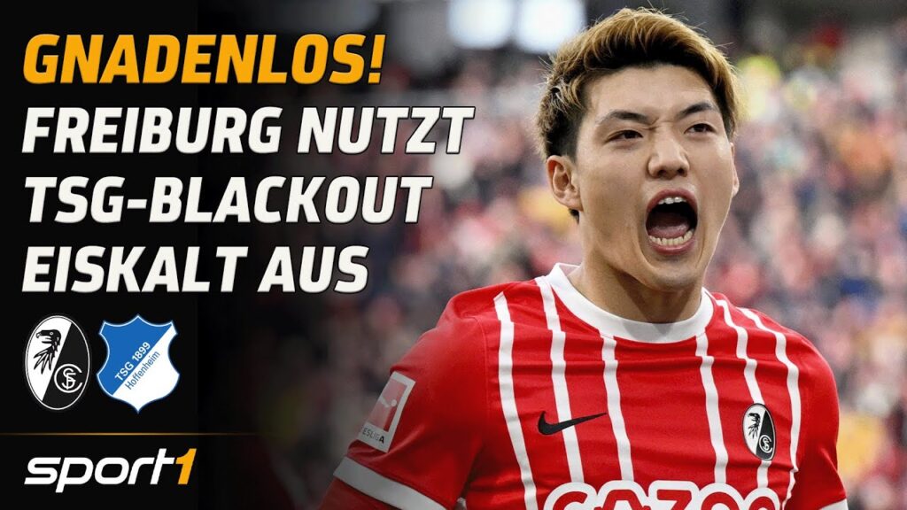 SC Freiburg - TSG Hoffenheim | Bundesliga Tore und Highlights 24. Spieltag | SPORT1