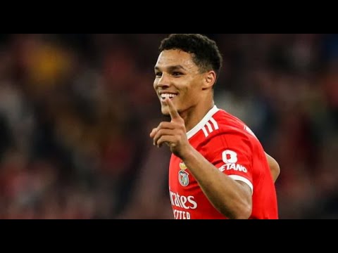 Alexander Bah   Solid in Defense , Good in Attack