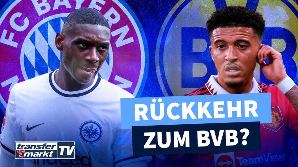 Bayern führt Gespräche mit Kolo Muani – Sancho-Rückkehr zum BVB? | TRANSFERMARKT