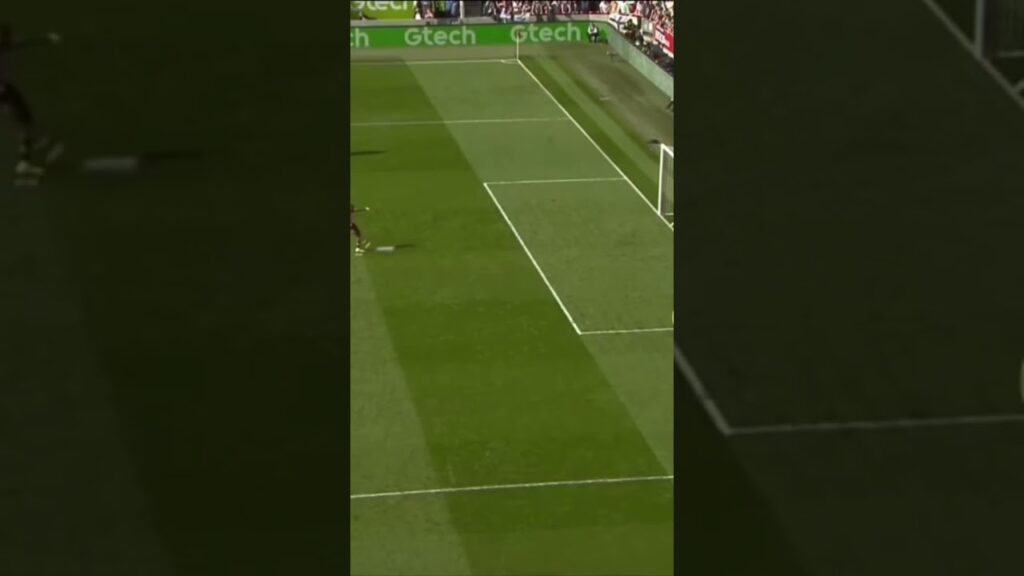 Nick Pope Penalty Save 🌊 #nickpope #chelseafc #views #subscriber #newcastle