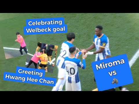 Mitoma vs Wolves ｜三笘薫 ブライトン vs ウルブス