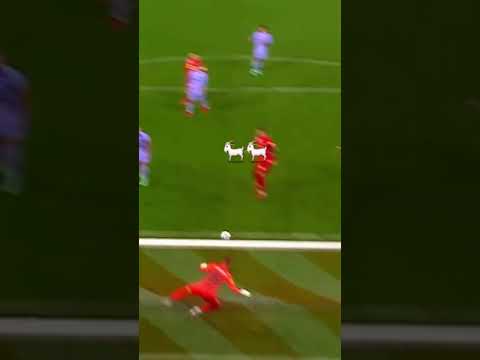 Martin Braithwaite is absolute genius OMartin Goatwaite🤣 خرید جدید بارسلونا