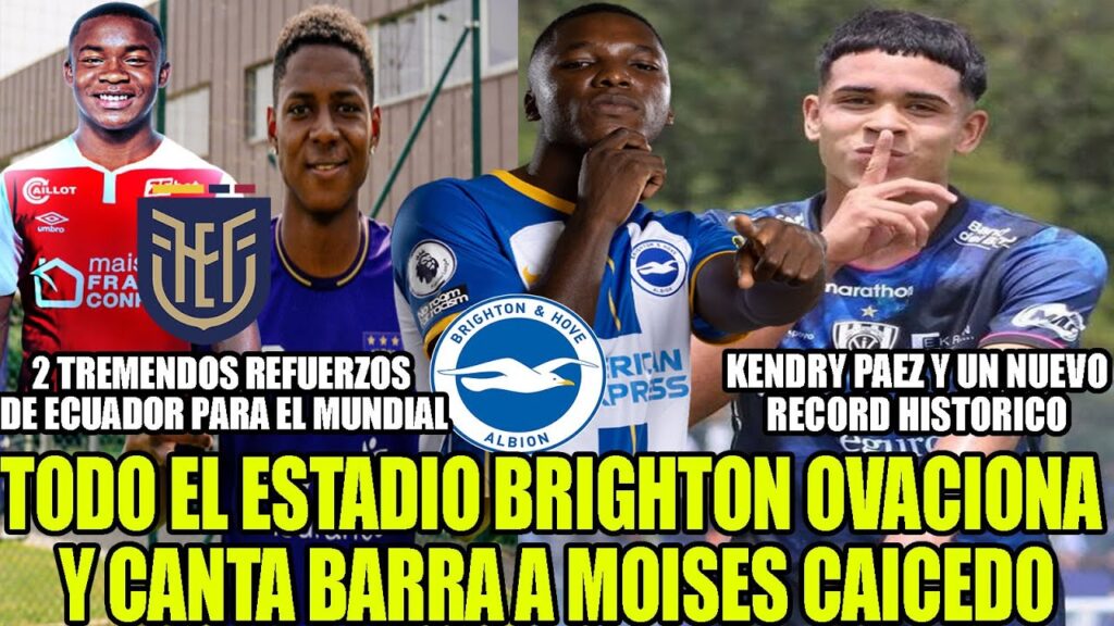 TODO ESTADIO BRIGHTON OVACIONA Y CANTA A MOISES CAICEDO! 2 REFUERZOS DE ECUADOR PARA EL MUNDIAL TODO ESTADIO BRIGHTON OVACIONA Y CANTA A MOISES CAICEDO! 2 REFUERZOS DE ECUADOR PARA EL MUNDIAL