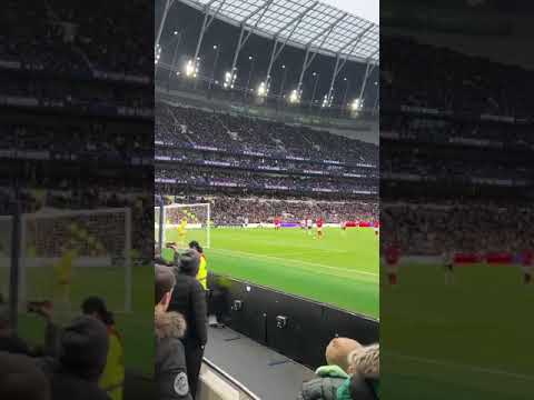 Fraser Forster saves Andre Ayew's penalty for Spurs vs Nottingham Forest