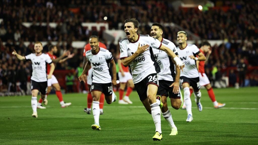 João Palhinha • Amazing Defensive Skills | Fulham