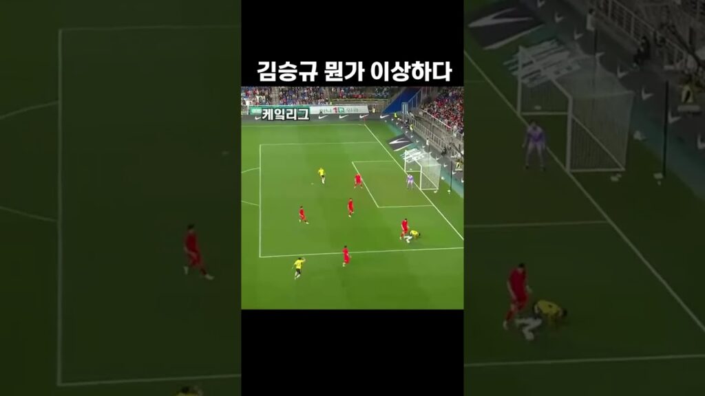 김승규의 데칼코마니