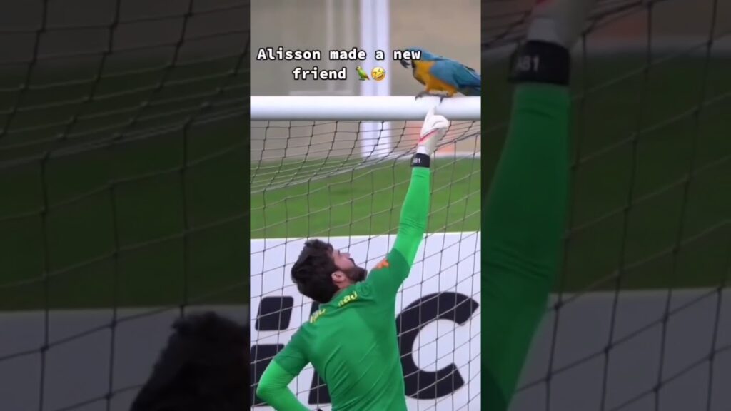 Alisson Becker made a new friend. #liverpool #shorts #alissonbecker