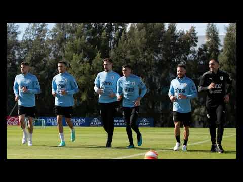 Sebastián Coates al llegar a Montevideo