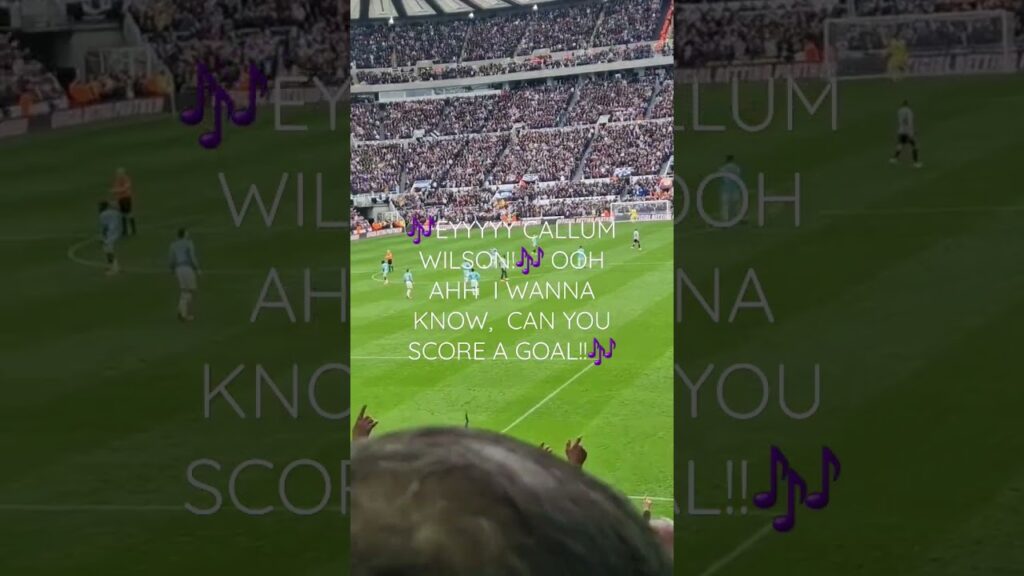 callum wilson song #nufc @NUFC #callumwilson #newcastleunited