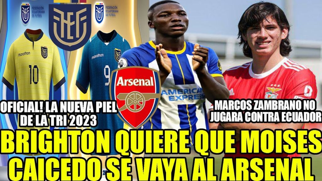 BRIGHTON QUIERE QUE MOISES CAICEDO SE VAYA AL ARSENAL! MARCOS ZAMBRANO NO JUGARA CONTRA ECUADOR BRIGHTON QUIERE QUE MOISES CAICEDO SE VAYA AL ARSENAL! MARCOS ZAMBRANO NO JUGARA CONTRA ECUADOR