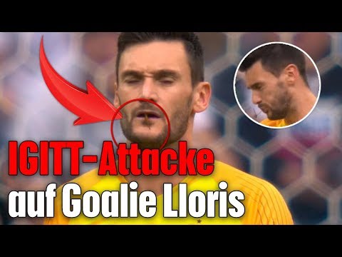 Video: Heuschreck-Attacke auf Frankreich-Goalie Hugo Lloris Video: Heuschreck-Attacke auf Frankreich-Goalie Hugo Lloris