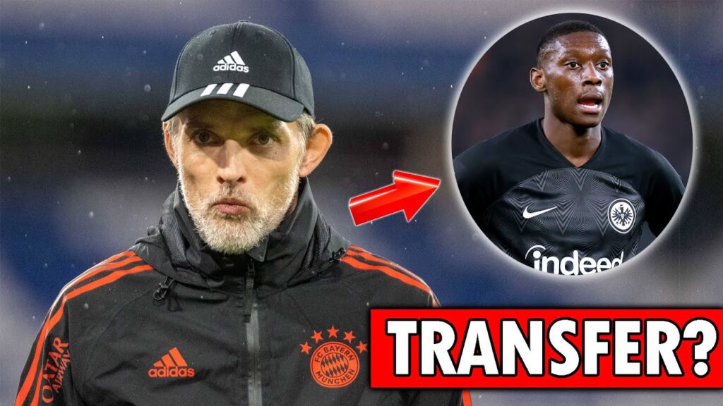 Transferansage? Thomas Tuchel äußert sich zu Randal Kolo Muani! Transferansage? Thomas Tuchel äußert sich zu Randal Kolo Muani!