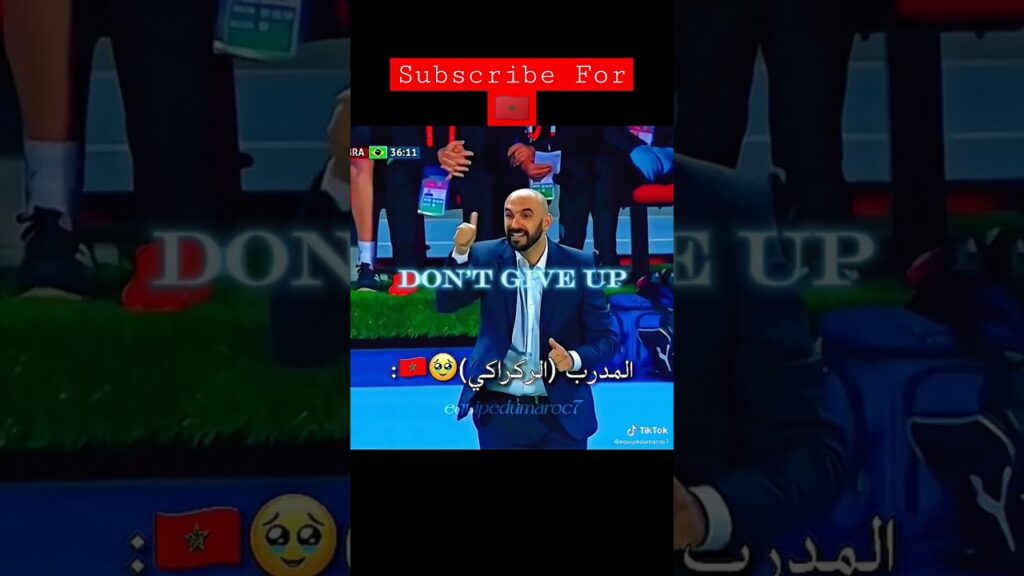 walid regragui ziyech #walidregragui #hakim_ziyech #ziyech #moroccovsbrazil #morocco #footballcoach