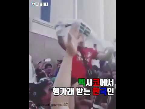 한국-독일전 한 편의 영화같은 우승에 대한 멕시코의 반응 (feat. 인스타, 트위터)[TBC-띠비띠]