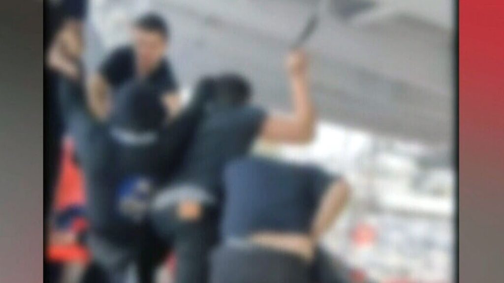 Video shows brawl in stands during TFC game at BMO Field